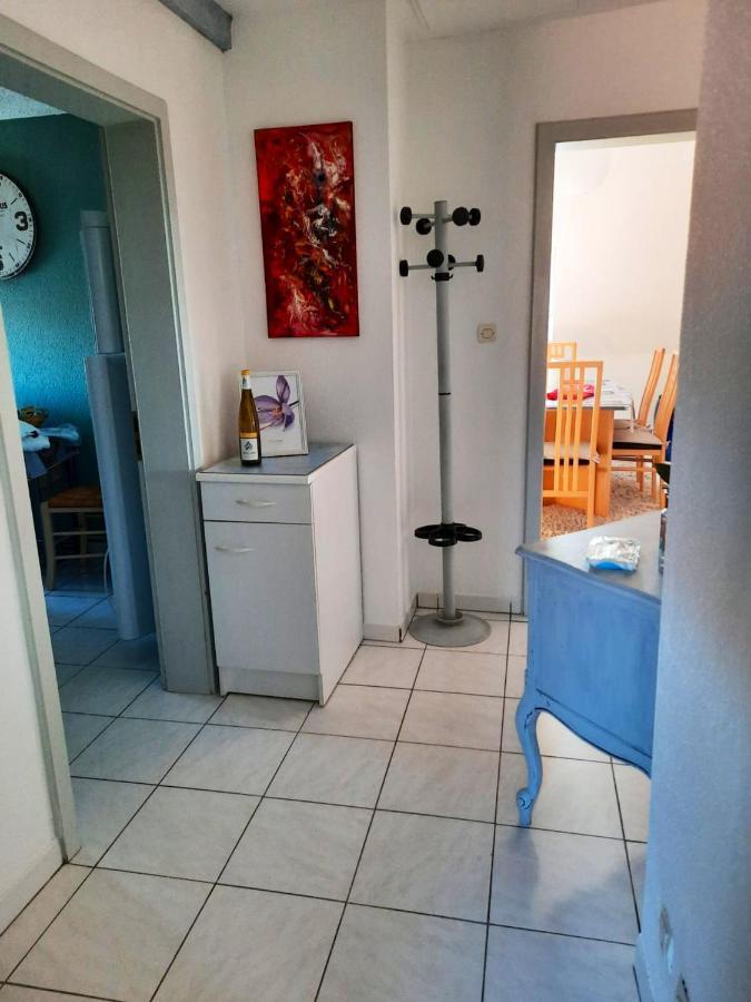 Appartement Spacieux A Ingersheim Avec Vue Sur Jardin 100 M² Exterior photo